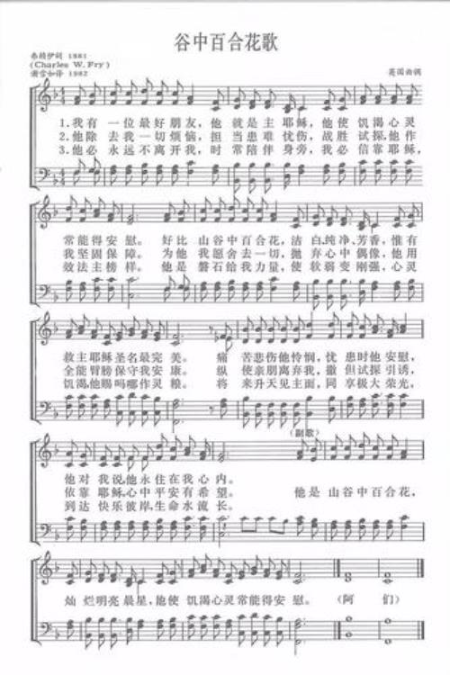 百合花歌曲原唱