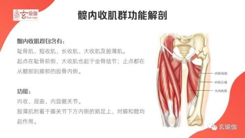 内收是什么