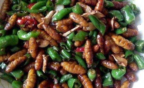 怎样做蚕蛹好吃