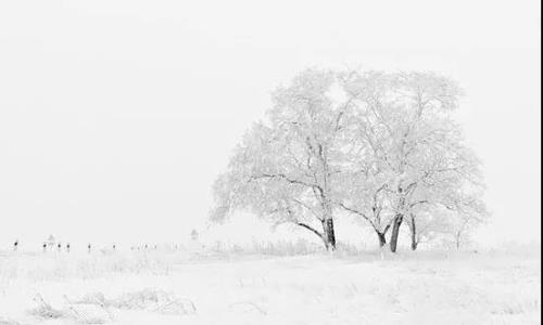惊雪古诗朗诵