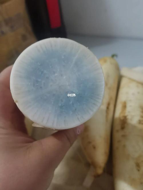 萝卜发蓝怎么回事