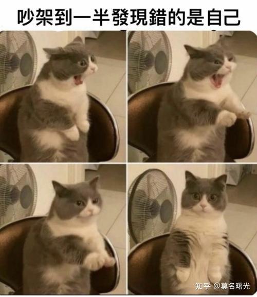 蹦迪文案沙雕搞笑