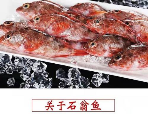 虎头鱼和石九公的区别