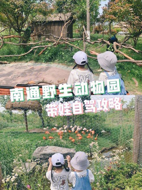 南通动物园表演时间