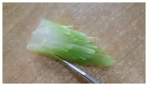 芹菜怎样切成凤尾造型