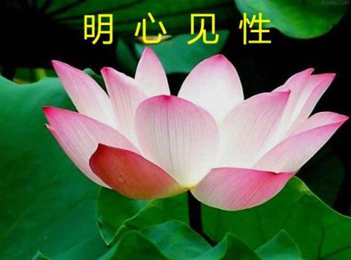 明心见性什么意思