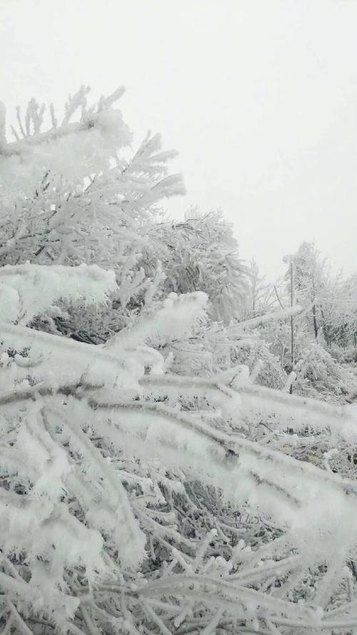 湖南哪里下大雪了现在