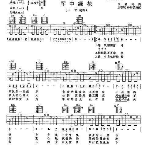 歌曲《军中绿花》表达什么感情