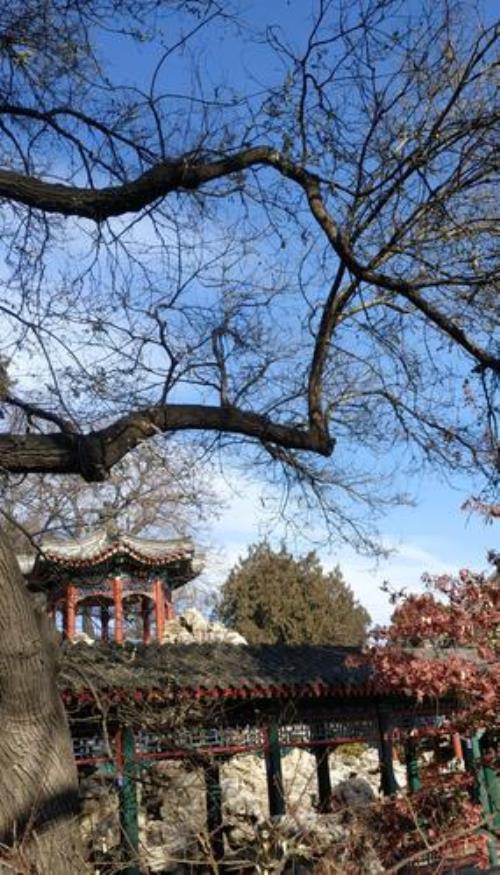 岁月易蹉跎,但难回头是什么意思