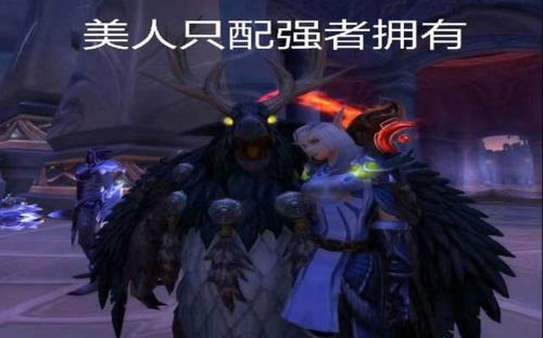 鸟德4t5加4t6怎么搭配