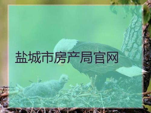 盐城房产局存在了吗