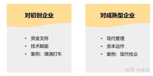 淡马锡模式通俗解释