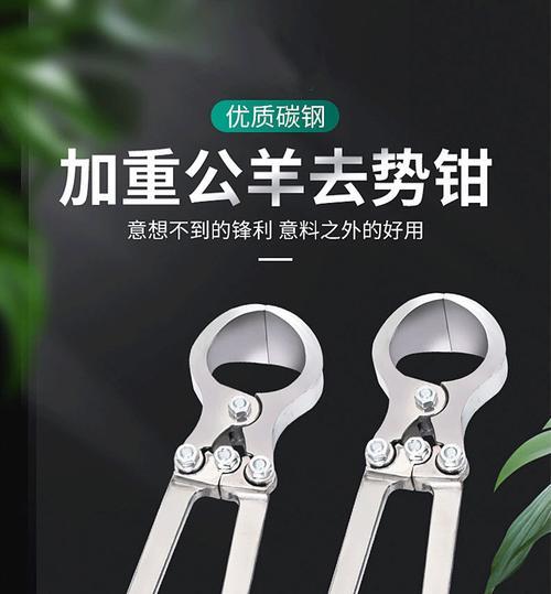 阉羊和公羊哪个好吃