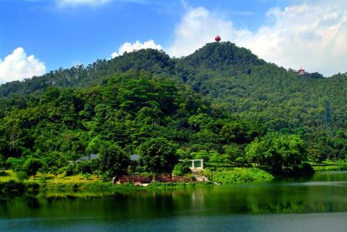 东莞黄旗山今年春节开放吗