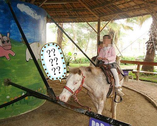 什么是天上人间的动物