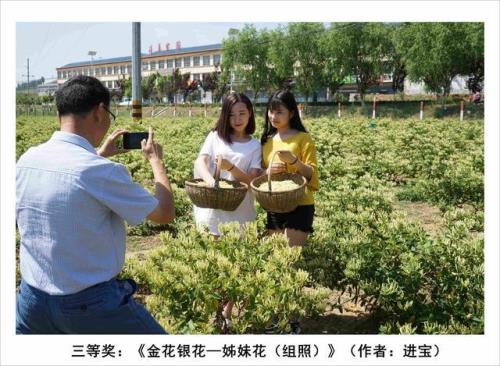 金银花之乡在那里