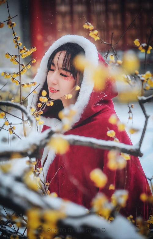 雪中有佳人娇容绝红尘出处