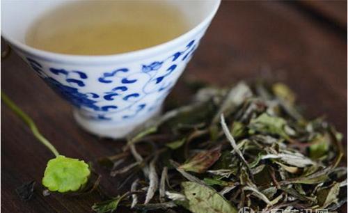 适合白茶冲泡温度