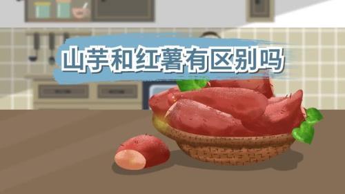 芋头和红薯区别