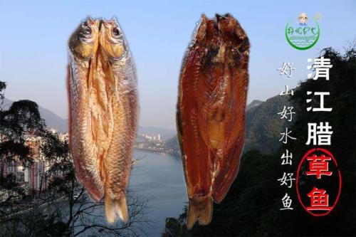 南方鲤鱼做腊鱼行吗