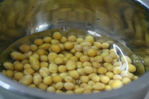 黄豆泡水喝的做法