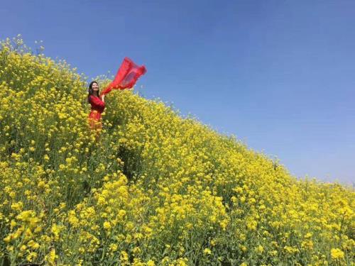 油菜花黄裤子配什么颜色的衣服