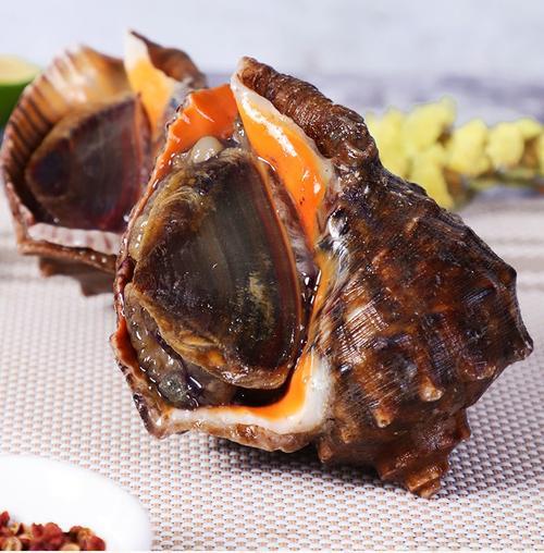 青岛大海螺做法