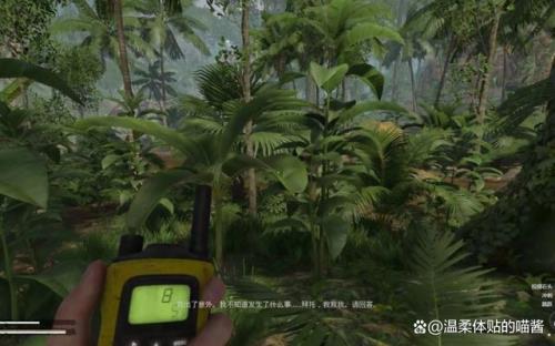 绿色地狱怎么去亚巴瓦卡村