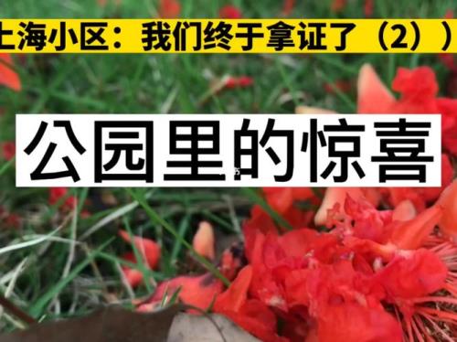像又惊又喜的词还有那些