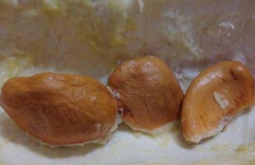 桂圆核能吃吗