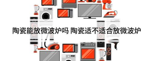 陶瓷的能放进微波炉吗
