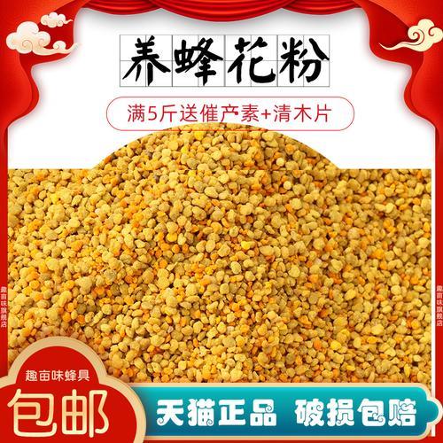 中蜂采粉说明什么