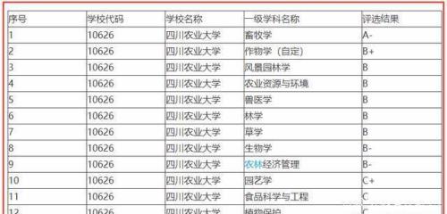 it学科评估学校排名
