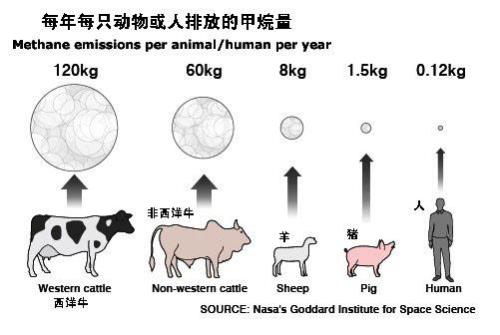 甲烷排放通量是什么