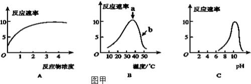 速率法和酶法的区别