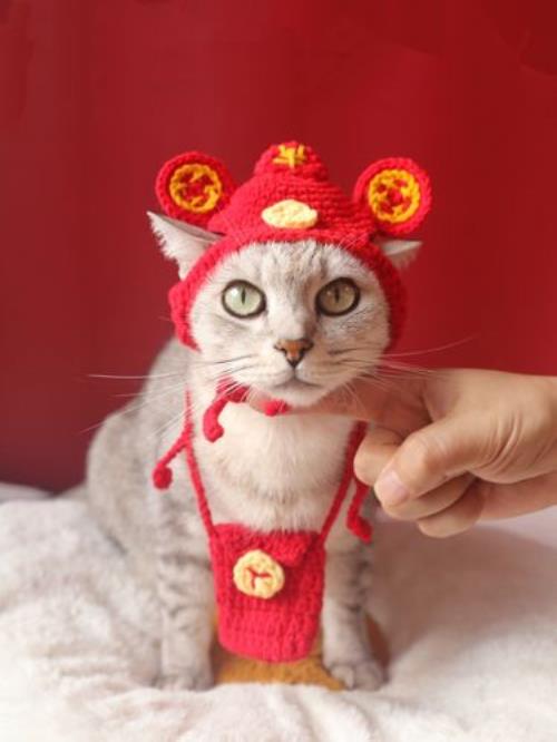新年变装对联