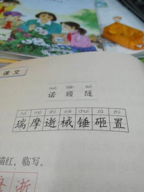 选择的择还可以组什么词