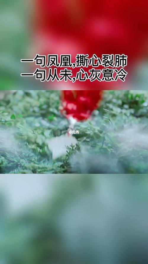 男朋友说心灰意冷怎么回复