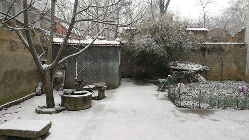 农村小院雪景绘画