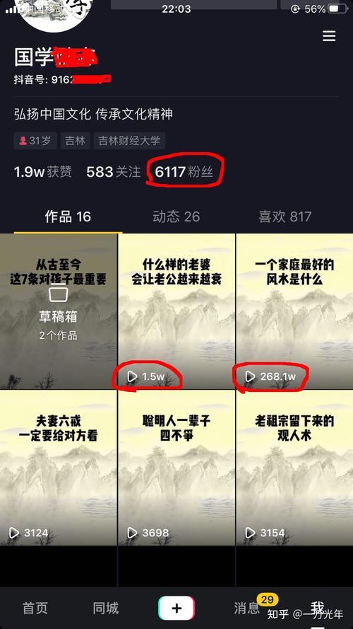 抖音浏览量500万算高吗