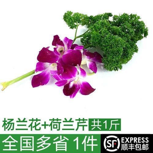 带芹字的花