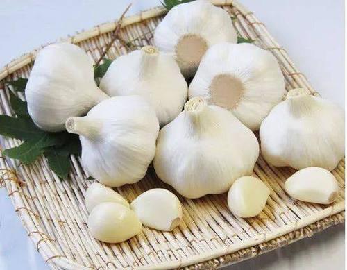 大蒜杀菌有科学依据吗