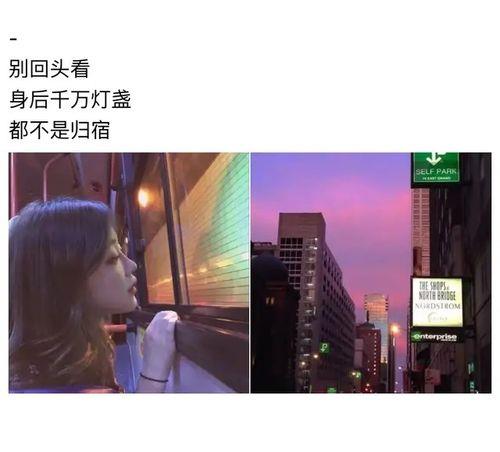重游故地适合发朋友圈的句子