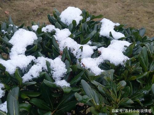出门看到第一场雪反义词