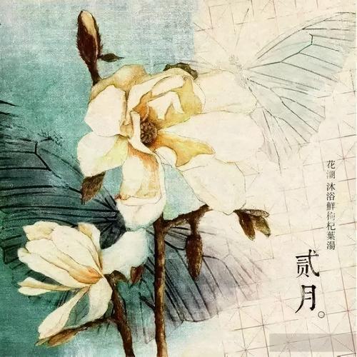 感叹岁月流逝人不再年轻的诗句