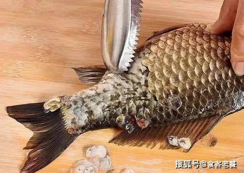 鱼鳞那么高营养为什么没人吃