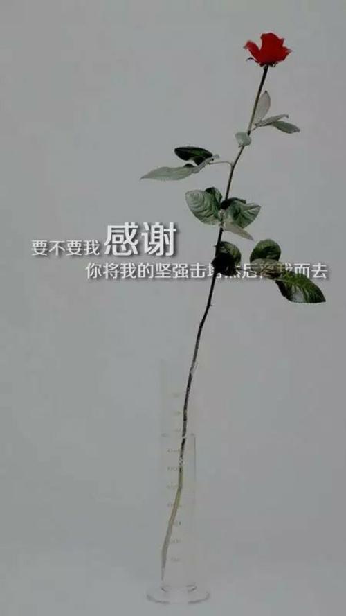 谢谢你的想念经典语录