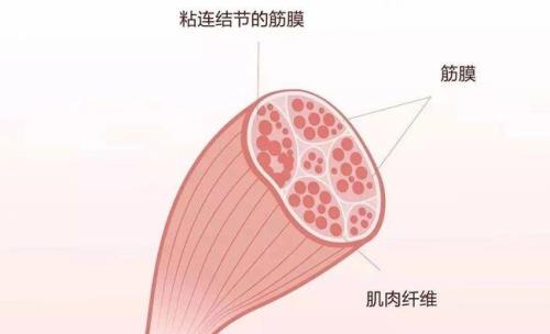 经膜是什么