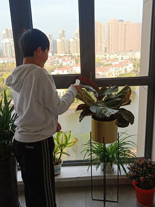 有没有在家可以干的活