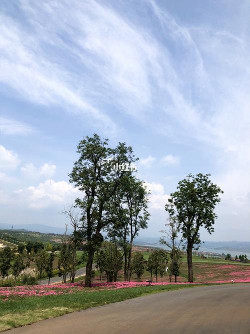 太平湖森林公园营业时间